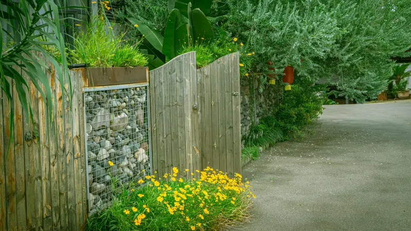 Gabionenmauer mit Holz-Sichtschutz und gelben Blumen am Gartenweg
