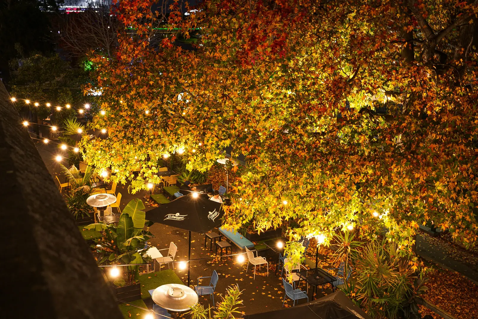 Terrasse unter einem großen Baum mit Lichterketten am Abend