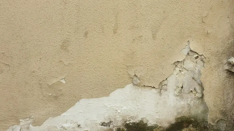 Feuchte Außenwand mit abplatzendem Putz und dunklen Flecken am Boden